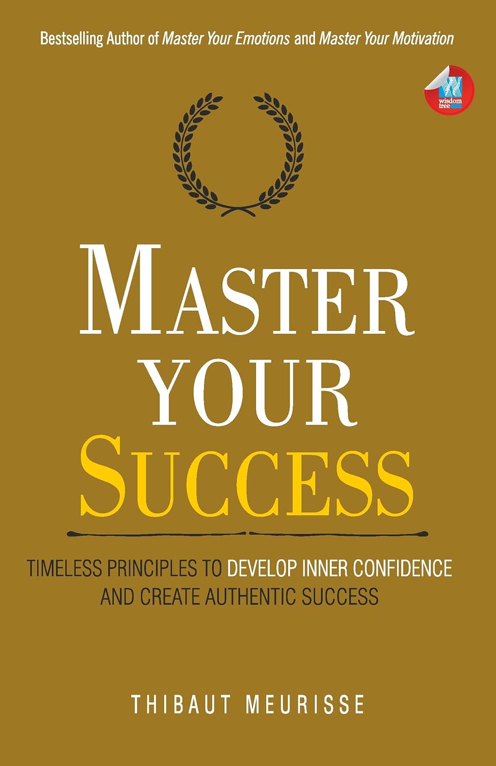Master Your Success: -Paperback –by Thibaut Meurisse