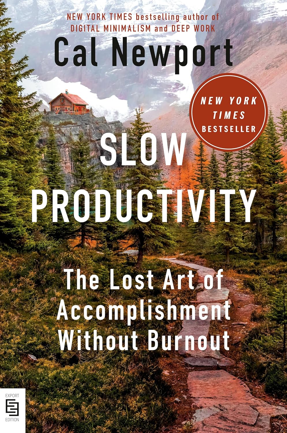 Slow Productivity:-Paperback – by Cal Newport