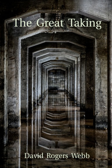 The Great Taking - Paperback – by David Rogers Webb