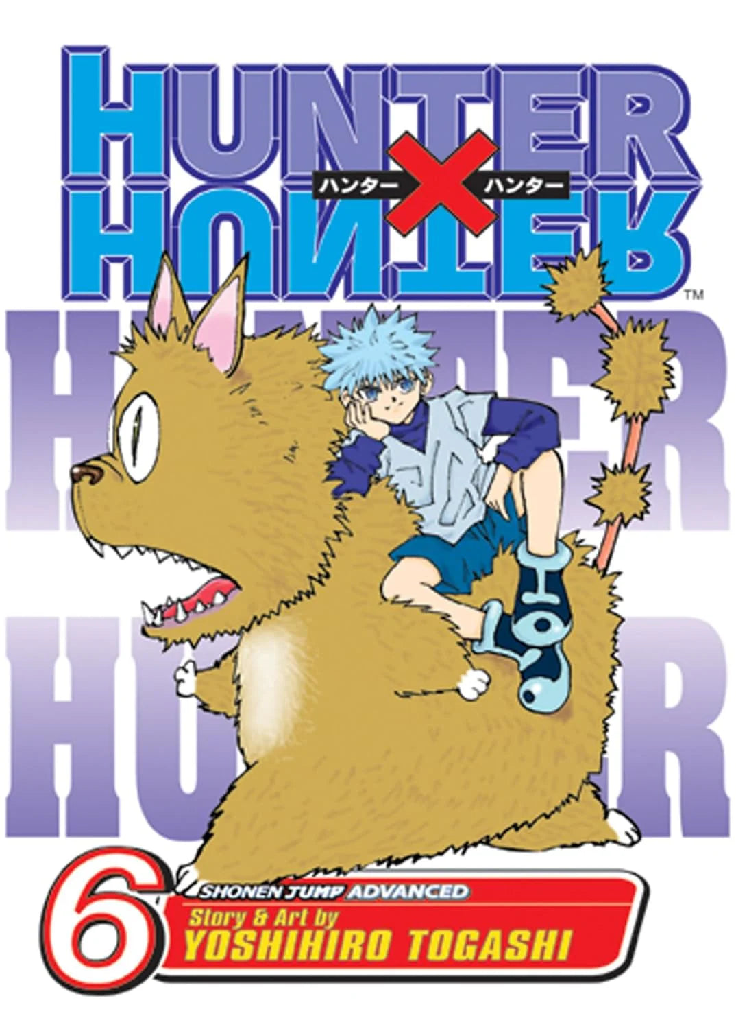 Hunter X Hunter, Vol. 06 Paperback – by Yoshihiro Togashi