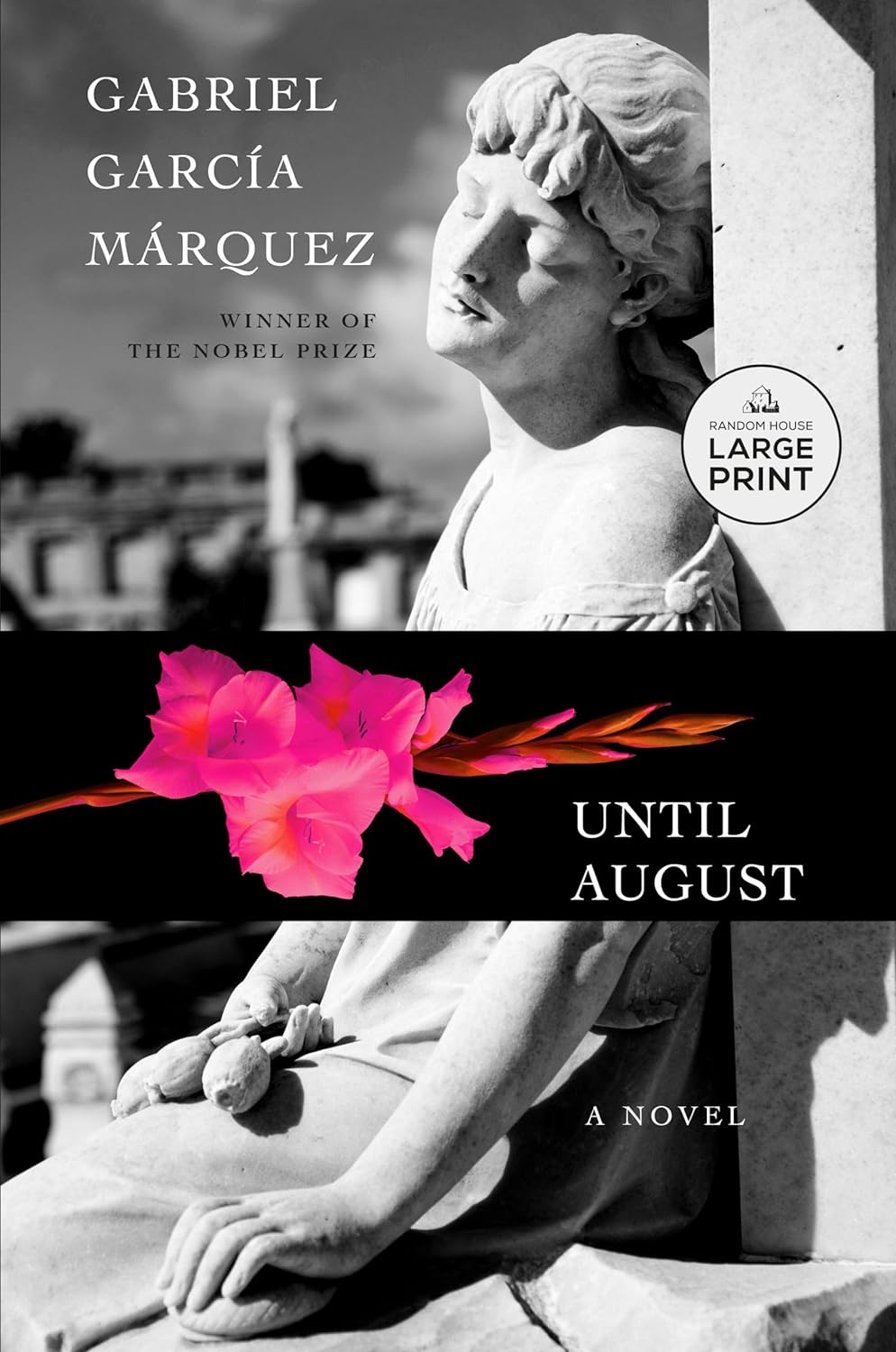 Until August: A novel (Paperback) –by Gabriel García Márquez , Anne McLean