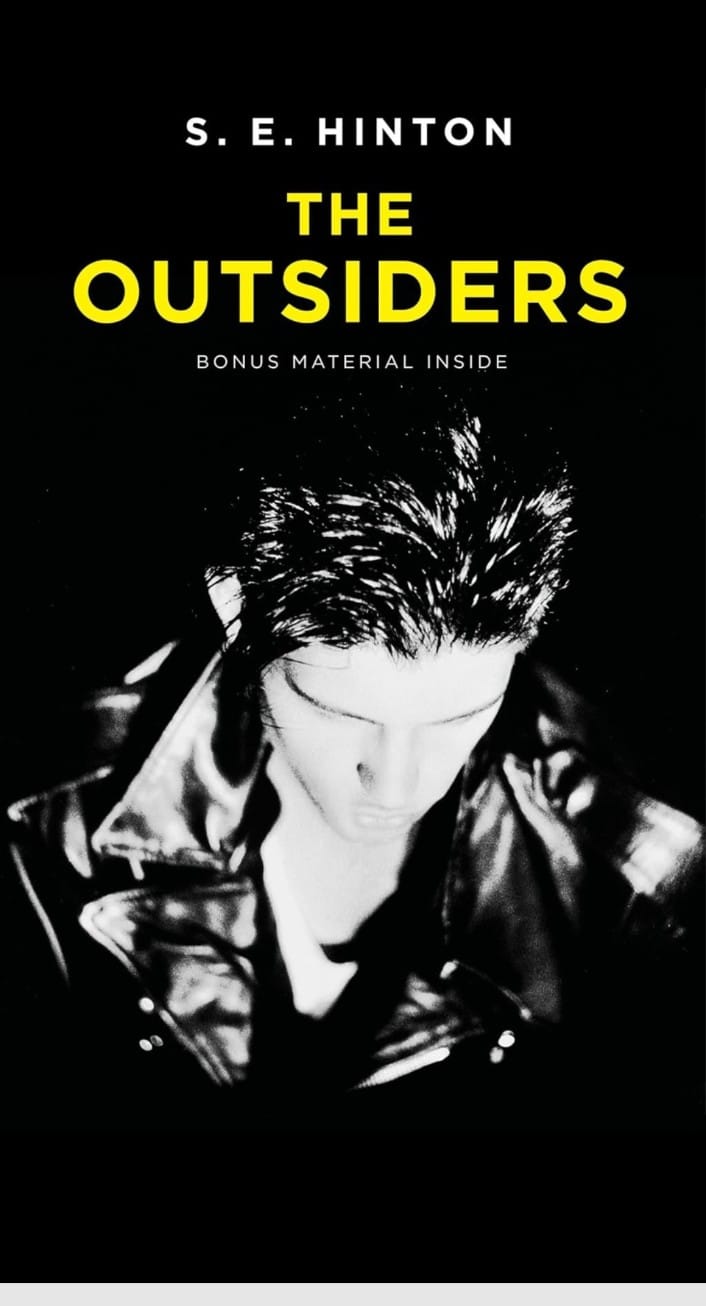 The Outsiders Paperback –  by S E Hinton